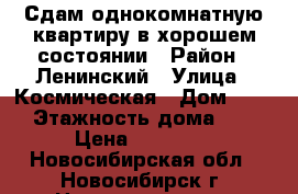 Сдам однокомнатную квартиру в хорошем состоянии › Район ­ Ленинский › Улица ­ Космическая › Дом ­ 12 › Этажность дома ­ 5 › Цена ­ 11 000 - Новосибирская обл., Новосибирск г. Недвижимость » Квартиры аренда   . Новосибирская обл.,Новосибирск г.